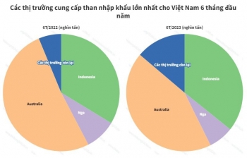 Lượng than nhập khẩu của Việt Nam đạt 27,6 triệu tấn tính đến 15/7