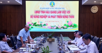 Festival Lúa gạo Hậu Giang: Định vị hạt gạo Việt trong tăng trưởng xanh