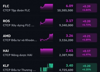 Cổ phiếu của Vinhomes đóng góp tích cực giúp VN-Index tăng 10 điểm