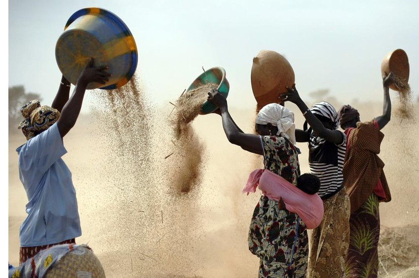 Theo Chương tr&igrave;nh Ph&aacute;t triển Li&ecirc;n Hợp Quốc (UNDP), 71 triệu người tr&ecirc;n to&agrave;n thế giới rơi v&agrave;o cảnh đ&oacute;i ngh&egrave;o do gi&aacute; lương thực v&agrave; năng lượng tăng cao. Ảnh: AP