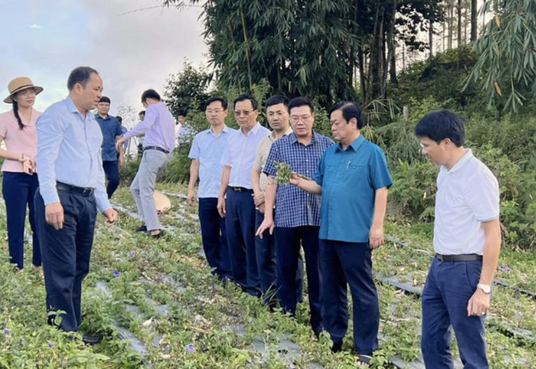 Bộ trưởng L&ecirc; Minh Hoan (thứ 2 từ phải qua) đ&aacute;nh gi&aacute; cao việc ph&aacute;t triển dược liệu của huyện v&ugrave;ng cao Bắc H&agrave;.