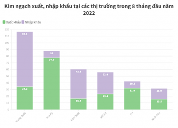 Việt Nam nhập siêu hơn 47 tỷ USD từ Trung Quốc