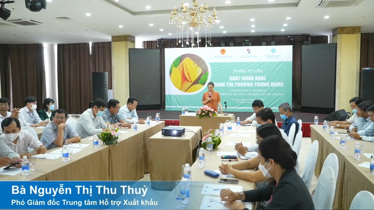 B&agrave; Thủy ph&aacute;t biểu tại phi&ecirc;n tư vấn.