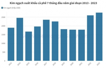 Giá đạt đỉnh 15 năm, xuất khẩu cà phê lập kỷ lục thập kỷ