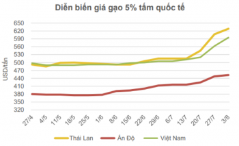 Gạo Việt có mức tăng giá xuất khẩu cao nhất so với Thái Lan, Ấn Độ