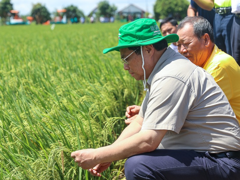 Thủ tướng Phạm Minh Ch&iacute;nh đ&atilde; thăm một số cơ sở sản xuất, chế biến l&uacute;a gạo, n&ocirc;ng sản hiện đại, c&ocirc;ng nghệ cao tại Đồng Th&aacute;p. Ảnh: VGP