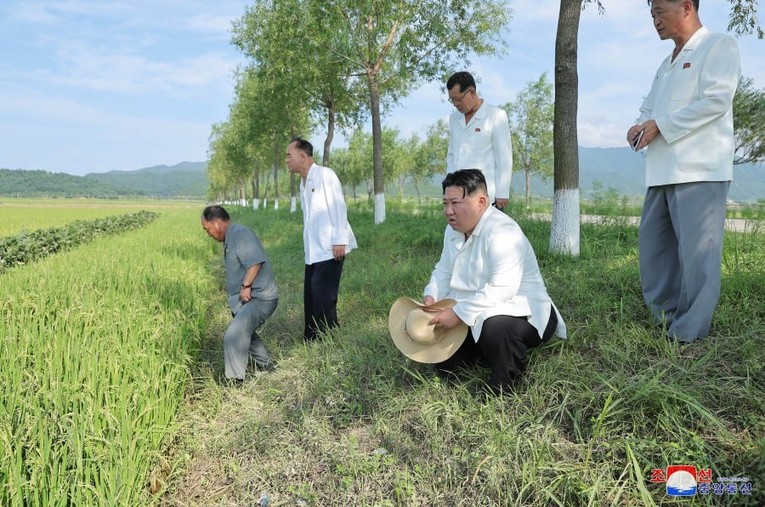 &Ocirc;ng Kim Jong-un v&agrave; c&aacute;c quan chức thị s&aacute;t tr&ecirc;n một c&aacute;nh đồng ở tỉnh Kangwon. Ảnh: KCNA