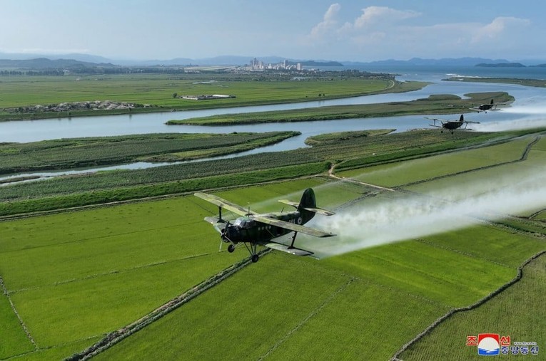 Trực thăng phun thuốc s&acirc;u tr&ecirc;n c&aacute;nh đồng. Ảnh: KCNA