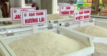 Giá gạo Việt tăng cao, đi ngược chiều giảm của Thái Lan, Ấn Độ