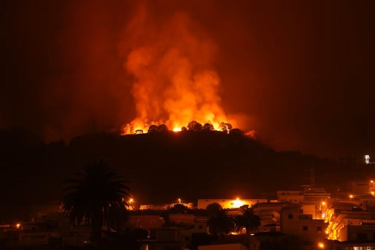 Đ&aacute;m ch&aacute;y tr&ecirc;n đảo Tenerife, Canary Islands, T&acirc;y Ban Nha ng&agrave;y 20/8. Ảnh: Reuters