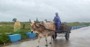 Philippines: Hàng trăm người phải sơ tán vì siêu bão Saola