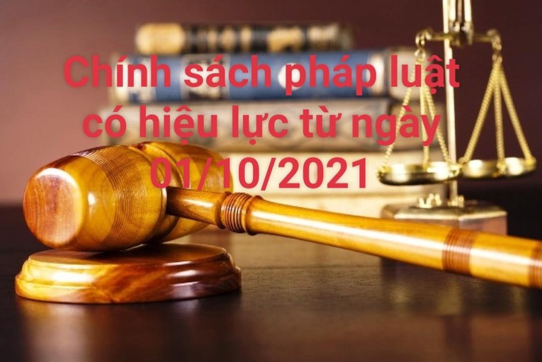 Chính sách nổi bật có hiệu lực từ tháng 10/2021