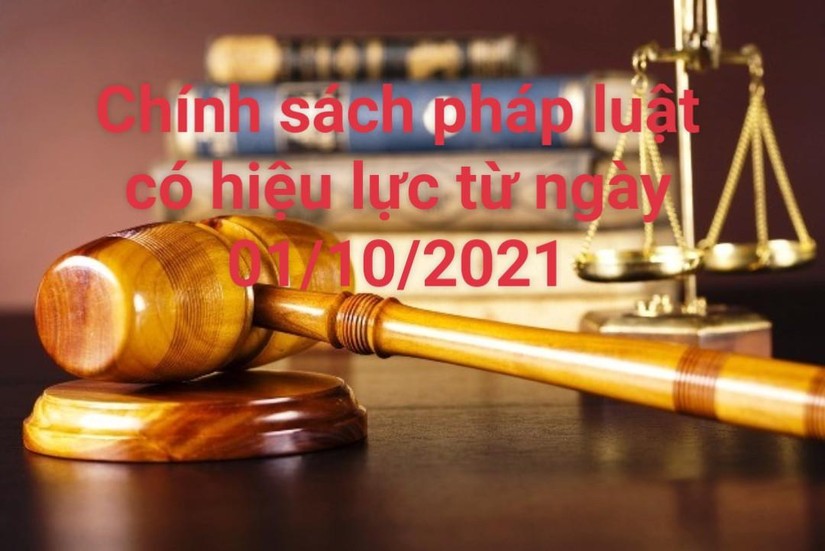 Ch&iacute;nh s&aacute;ch nổi bật c&oacute; hiệu lực từ th&aacute;ng 10/2021