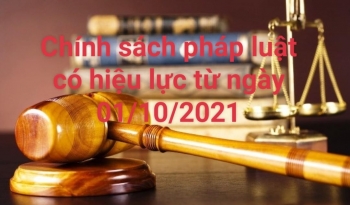 Chính sách nổi bật có hiệu lực từ tháng 10/2021