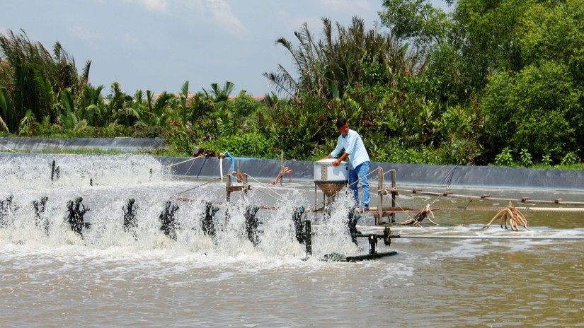 Sao Ta đạt doanh thu gần 3.800 tỷ đồng trong 8 th&aacute;ng