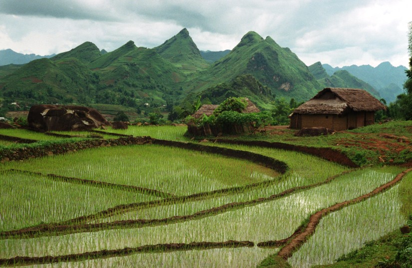 Ch&iacute;nh phủ y&ecirc;u cầu xử l&yacute; nghi&ecirc;m h&agrave;nh vi tham nhũng, ti&ecirc;u cực trong quản l&yacute; đất đai. Nguồn: Open Development Vietnam.