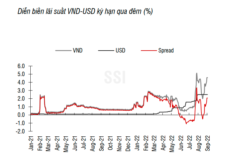 SSI Research: NHNN sẽ điều hành chính sách tiền tệ thận trọng trong tuần này