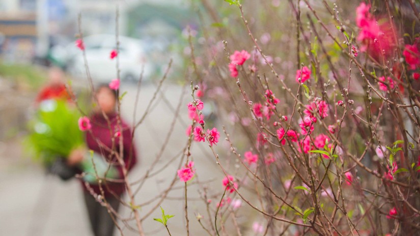 Bộ Nội vụ &amp;amp;apos;chốt&amp;amp;apos; phương &aacute;n nghỉ Tết nguy&ecirc;n đ&aacute;n 7 ng&agrave;y