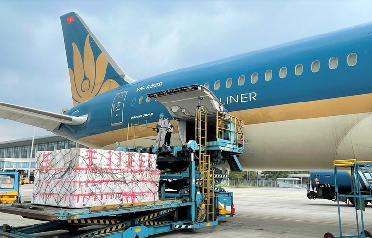 Hiện c&aacute;c h&atilde;ng kh&ocirc;ng Việt Nam hiện vẫn vận chuyển h&agrave;ng ho&aacute; kết hợp h&agrave;nh kh&aacute;ch. Ảnh: Vietnam Airlines