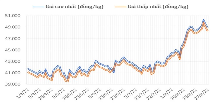 Gi&aacute; c&agrave; ph&ecirc; Robusta tại thị trường từ th&aacute;ng 4/2022 đến nay. Ảnh: Bộ C&ocirc;ng Thương