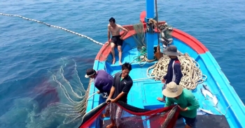 Siết chặt kiểm soát, loại bỏ khai thác IUU để gỡ “thẻ vàng” của EC