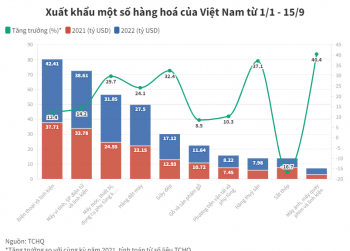 Việt Nam nhập siêu gần 1 tỷ USD trong nửa đầu tháng 9