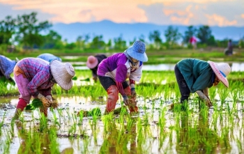 Chia sẻ thông tin là yếu tố quan trọng nhất trong hợp tác nông nghiệp tiểu vùng Mekong