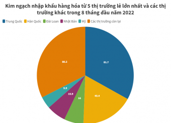 Các thị trường nhập khẩu lớn nhất của Việt Nam 8 tháng đầu năm