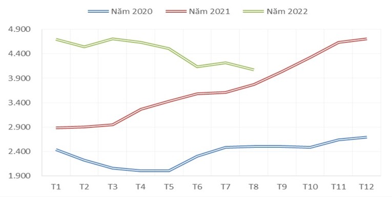 Diễn biến gi&aacute; xuất khẩu b&igrave;nh qu&acirc;n hạt ti&ecirc;u qua c&aacute;c th&aacute;ng giai đoạn 2020 &ndash; 2022 (ĐVT: USD/tấn). Ảnh: Bộ C&ocirc;ng Thương