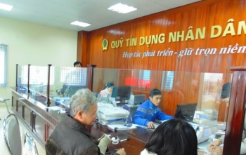 NHNN kiểm soát đặc biệt một quỹ tín dụng tại Thanh Hóa