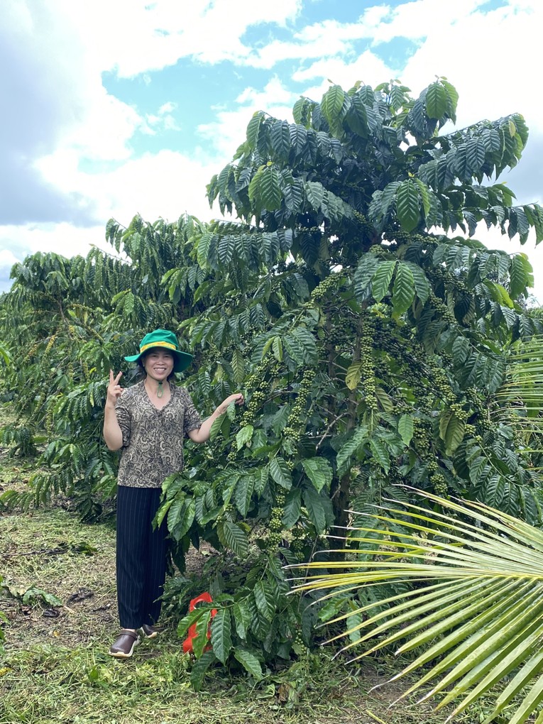 Chị Nguyễn Thị Tuyết Li&ecirc;n (thị trấn Lộc Thắng, huyện Bảo L&acirc;m, tỉnh L&acirc;m Đồng) vui mừng b&ecirc;n vườn c&acirc;y đạt năng suất cao khi sử dụng sản phẩm ph&acirc;n b&oacute;n NPK Ph&uacute; Mỹ vi sinh.