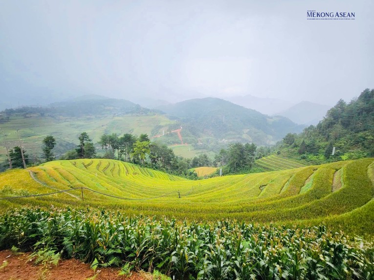 Đồng b&agrave;o d&acirc;n tộc thiểu số sinh sống bằng nghề n&ocirc;ng, l&acirc;m nghiệp được hỗ trợ trực tiếp bằng đất sản xuất.