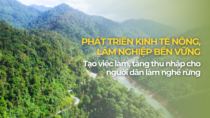 Hỗ trợ tạo việc l&agrave;m, tăng thu nhập cho đồng b&agrave;o d&acirc;n tộc thiểu số l&agrave;m nghề rừng