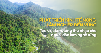 Hỗ trợ tạo việc làm, tăng thu nhập cho đồng bào dân tộc thiểu số làm nghề rừng