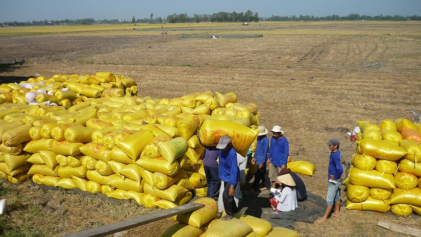 Xuất khẩu gạo của Việt Nam đến ng&agrave;y 15/9 đ&atilde; vượt 6 triệu tấn