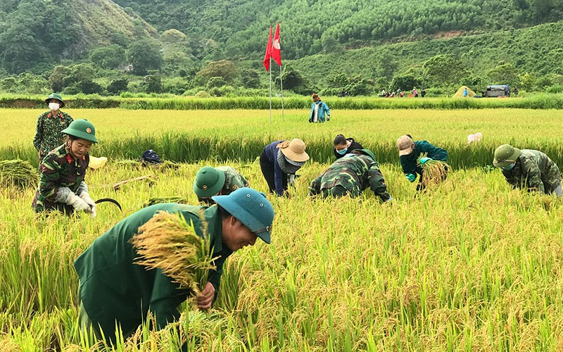 Đề xuất cho người thu nhập thấp thụ hưởng chương tr&igrave;nh giảm ngh&egrave;o