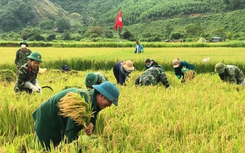 Đề xuất cho người thu nhập thấp thụ hưởng chương trình giảm nghèo