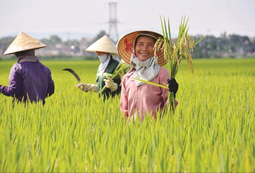 Miễn, giảm tiền sử dụng đất đối với người c&oacute; c&ocirc;ng, hộ ngh&egrave;o, đồng b&agrave;o d&acirc;n tộc.