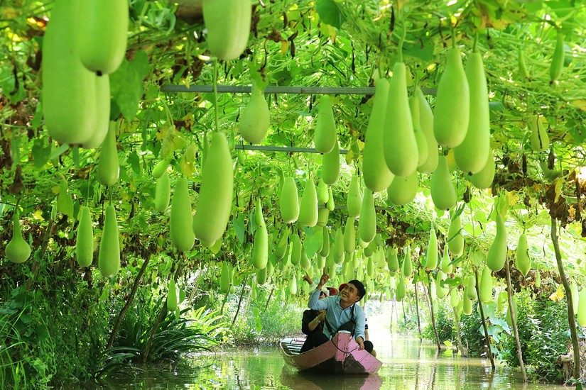 T&ocirc;n vinh những m&ocirc; h&igrave;nh n&ocirc;ng nghiệp hiệu quả cao, t&iacute;nh lan tỏa tốt.