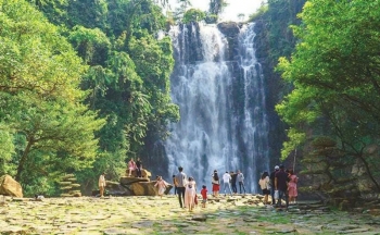 Lâm Đồng: Huyện Di Linh đề xuất nhiều dự án hàng nghìn ha