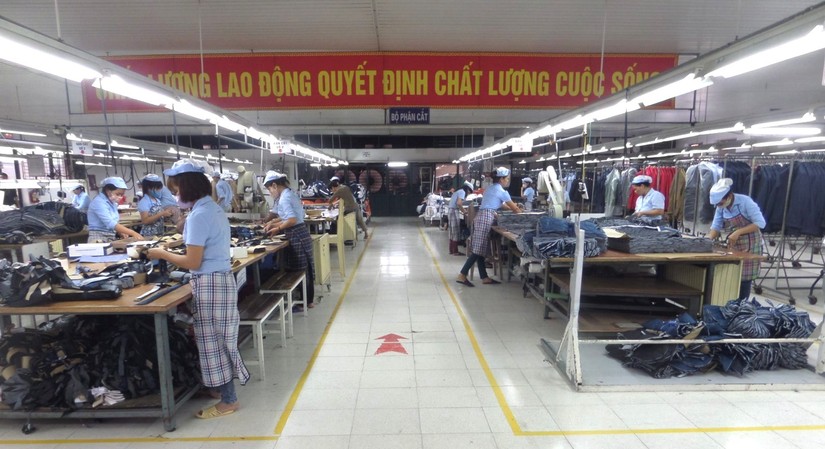 C&ocirc;ng ty May Đức Giang sắp trả cổ tức tiền mặt tỷ lệ 25%