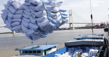 Sau TP HCM, Bắc Ninh cán mốc xuất nhập khẩu trên 60 tỷ USD