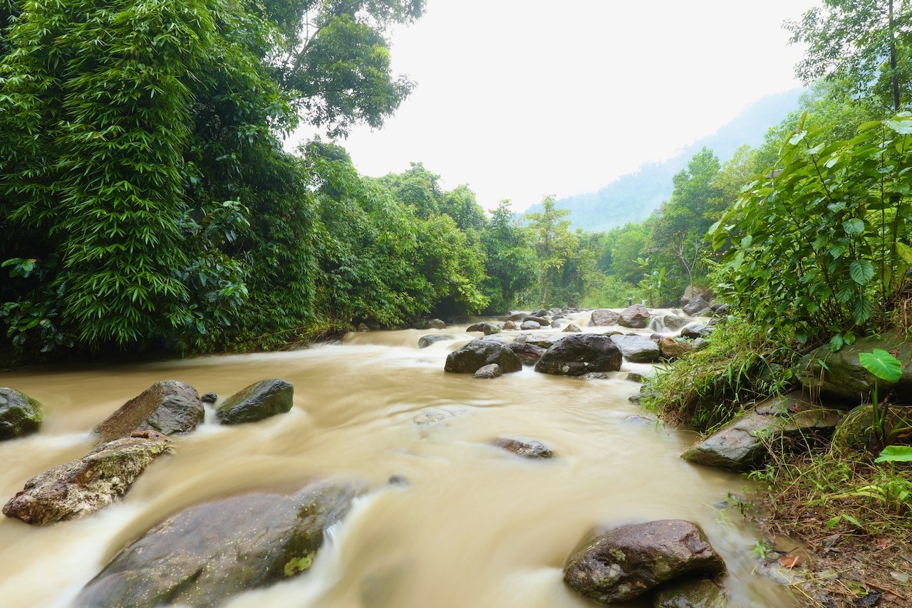 Một góc rừng để ngồi ngắm thời gian