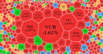 250 mã nằm sàn đẩy VN-Index về dưới mốc 990 điểm