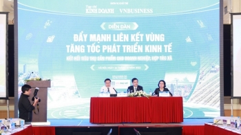 Liên kết doanh nghiệp - HTX đang ‘mạnh ai nấy làm’ vì thiếu &apos;tư lệnh&apos;