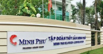 Thủy sản Minh Phú xin gia hạn nộp báo cáo tài chính hợp nhất quý III đến 15/11