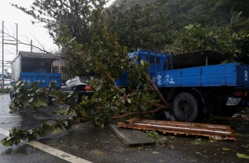 Bão Koinu khiến một người thiệt mạng tại đảo Đài Loan
