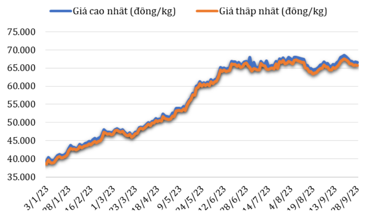 Diễn biến gi&aacute; c&agrave; ph&ecirc; Robusta tại thị trường nội địa từ đầu năm 2023.