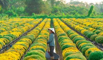 Xây dựng Đồng Tháp thành tỉnh tiên phong về nông thôn hiện đại