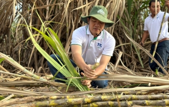 TTC AgriS đặt mục tiêu lợi nhuận tăng 18%, phát hành 37 triệu cổ phiếu ESOP